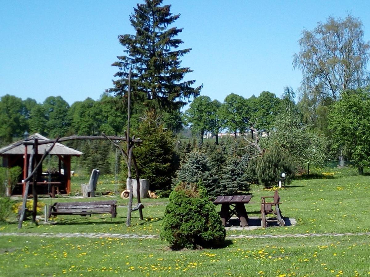 Agroturystyka Andrzejowka Czerniki Εξωτερικό φωτογραφία